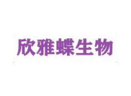 ŵ()＼޹˾