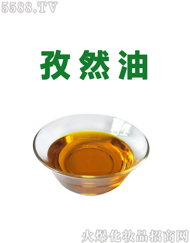 ݰƼ޹˾Ȼ