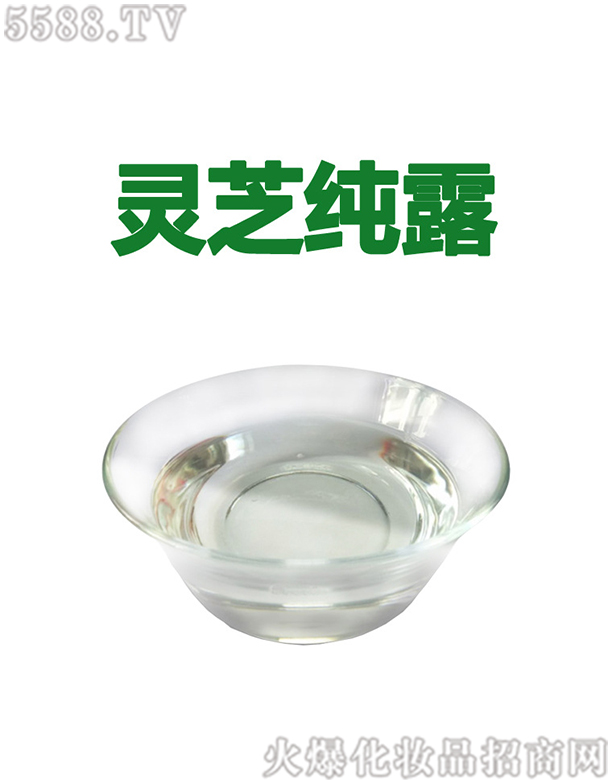 ݰƼ޹˾֥¶