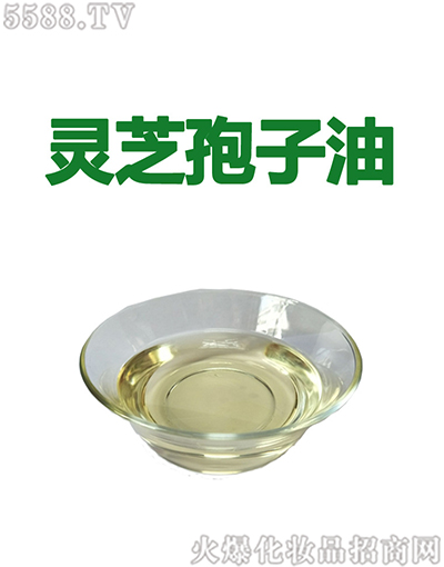 ݰƼ޹˾֥