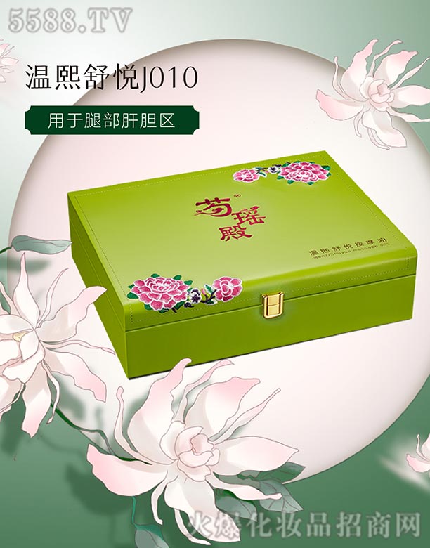 ---J010ε