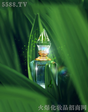 ڹϻױƷ޹˾ŲˮɭFOREST