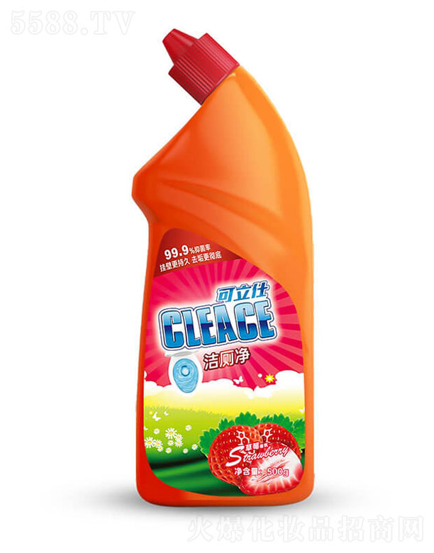 հջŹɷ޹˾ˣCLEACE)޾ݮ500g