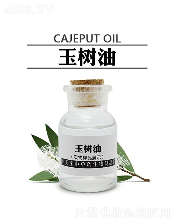 챦