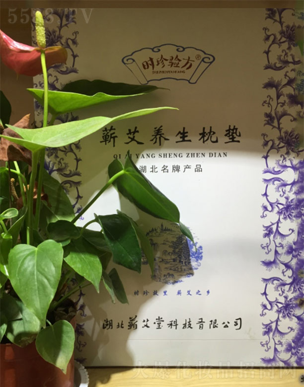 ޭÿƼ޹˾ʱ鷽ޭ