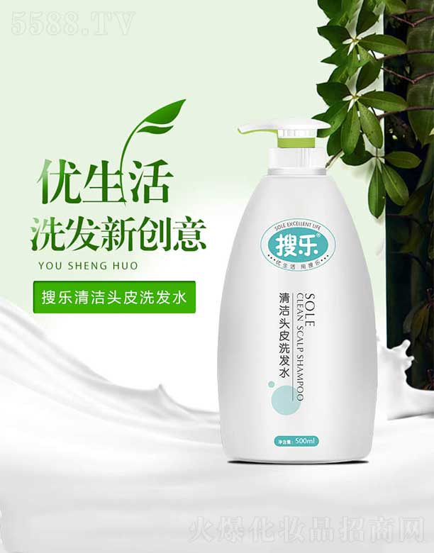 ͷƤϴˮ 500ml