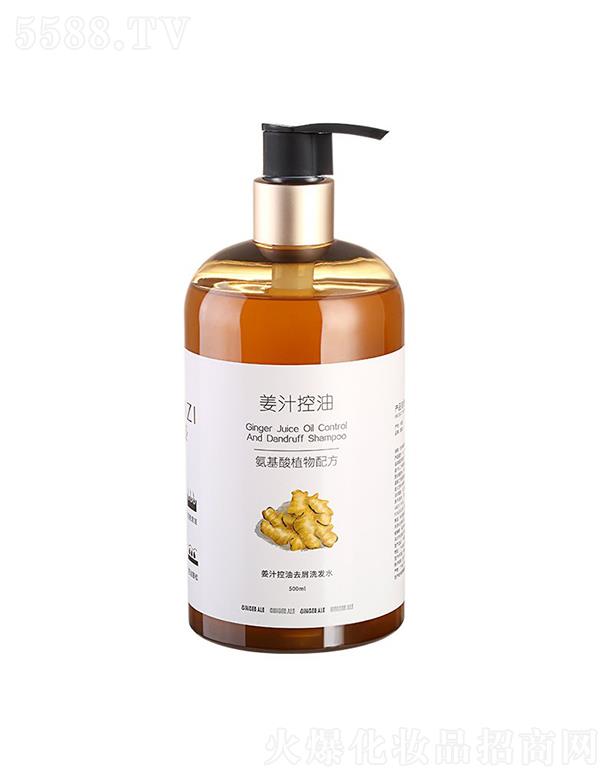 -֭ȥмϴˮ 500ML