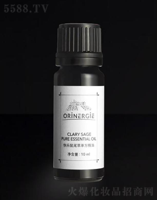 ORiNERGiEβݵ