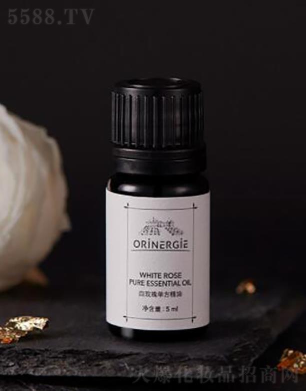 ORiNERGiEõ嵥